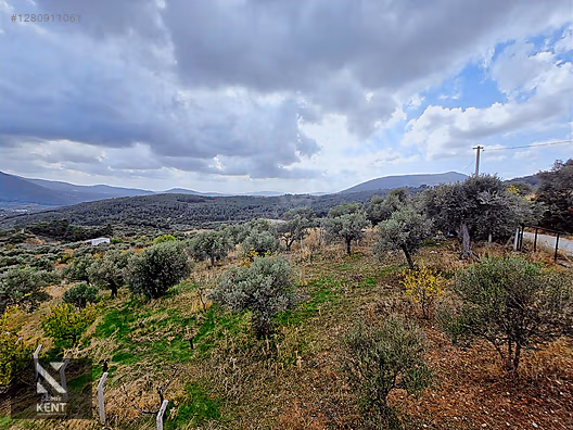 Kemalpaşa Vişneli Satılık 2920 m2 Dubleks Konut Ve Arsa - İZMİR KEMALPAŞA fotoğraf 23