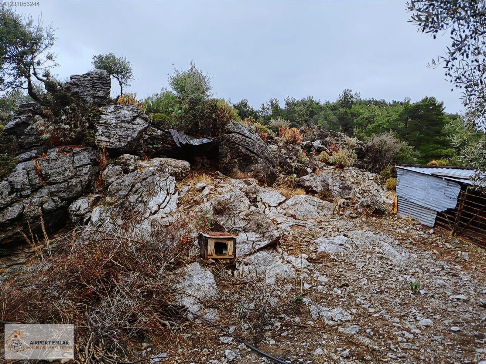 AIRPORT EMLAKTAN KÖYCEĞİZ AKKÖPRÜ BARAJI MANZARALI SATILIK TARLA - MUĞLA KÖYCEĞİZ fotoğraf 4