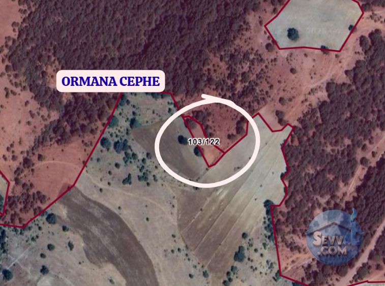 BİLECİK BOZÜYÜK YENİÜREĞİL  KÖYÜNDE  1.657 M² TARLA  SATILIKTIR - BİLECİK BOZÜYÜK fotoğraf 4