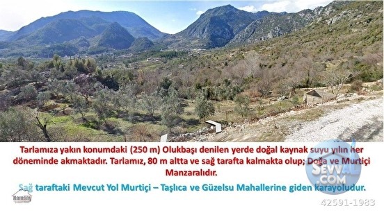 Murtiçine Yakın Konumda Acil Satılık Tarla - ANTALYA AKSEKİ fotoğraf 28
