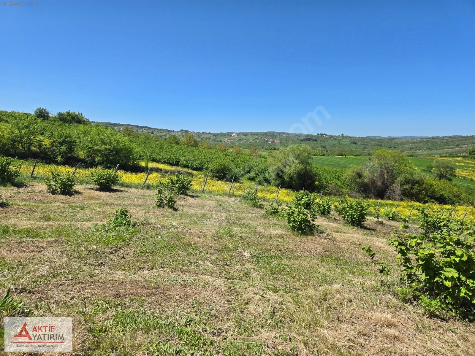 HEDİYELİ'DE GÖL MANZARALI 1748 M2 %5 İMARLI YERLEŞİME YAKIN - KOCAELİ KANDIRA fotoğraf 2