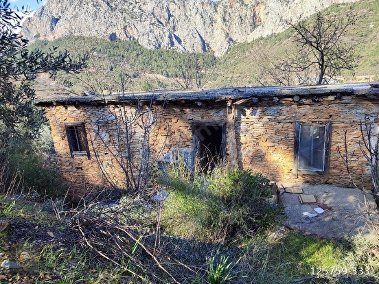 ANAMUR KORUCUKTA MÜSTAKİL SATILIK ZEYTİN VE AVOKADO BAHÇESİ - MERSİN ANAMUR fotoğraf 7