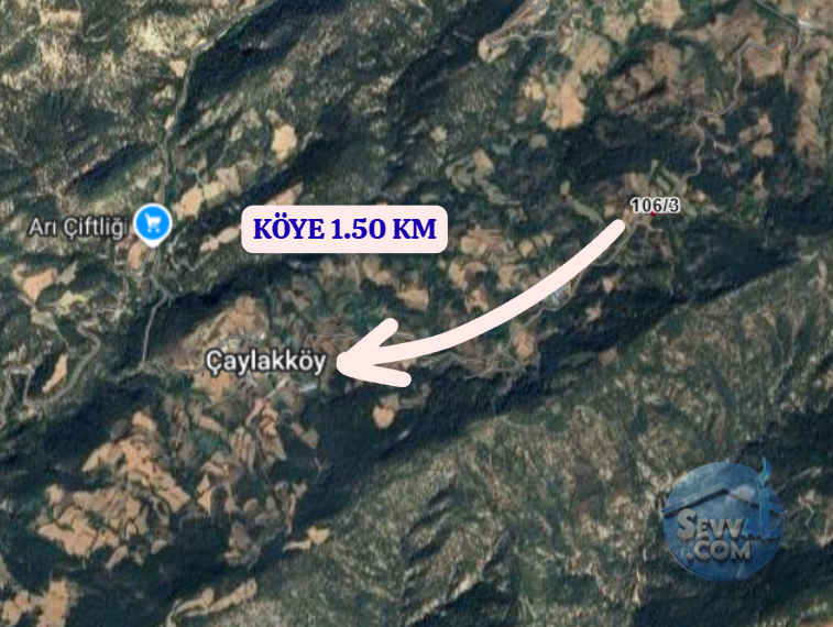 BOLU GÖYNÜK ÇAYLAK  KÖYÜNDE  841 M²  TARLA  SATILIKTIR - BOLU GÖYNÜK fotoğraf 5