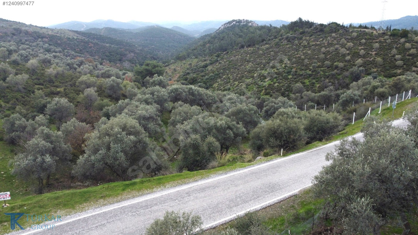 BEYLER YOLUNDA YOLA 70 MT CEPHELİ 7 DÖNÜM EMSALSİZ ZEYTİNLİK - İZMİR SEFERİHİSAR fotoğraf 2