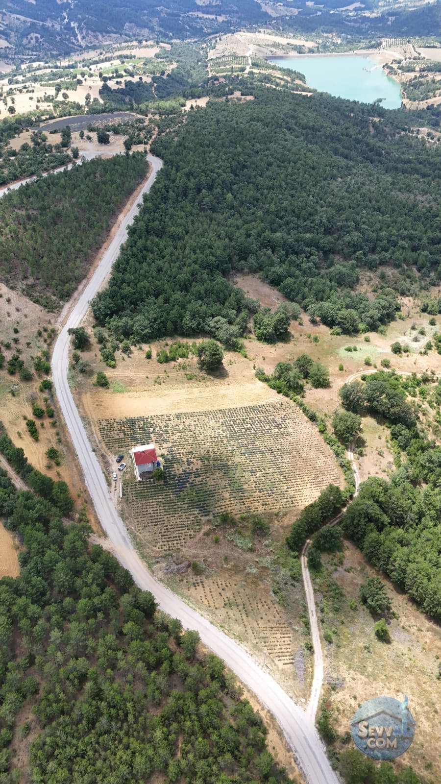 Kütahya'da 14.035m² İçerisinde Lavanta Bahçesi-Yağ Sıkma Fab.-Evi Satılıktır - KÜTAHYA ŞAPHANE fotoğraf 21