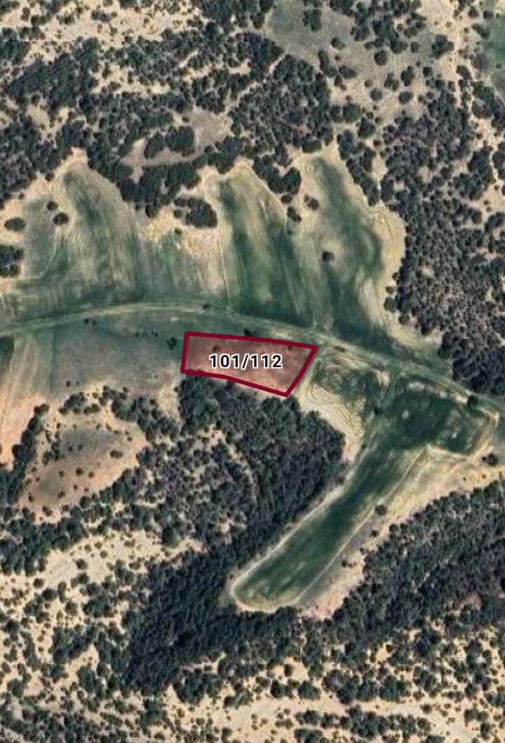 A.KARAHİSAR DAZKIRI HİSARALAN MAH.2.400M² TARLA SATILIK - AFYONKARAHİSAR DAZKIRI fotoğraf 6