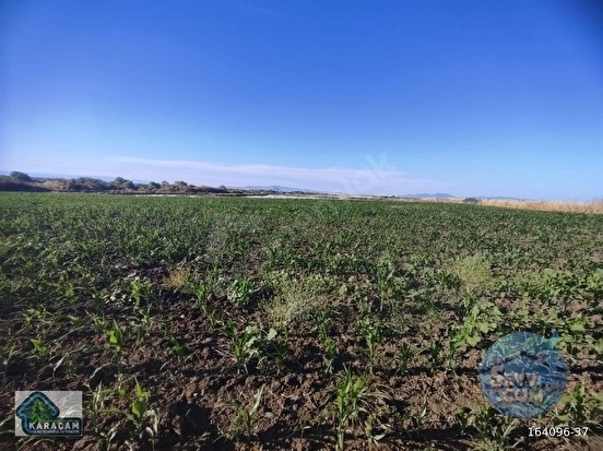Çanakkale Biga Gerlengeç Köyünde Satılık Tarla - ÇANAKKALE BİGA fotoğraf 10