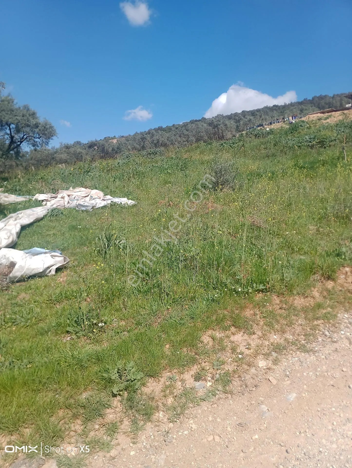 İzmir Torbalı Kuşburun Mahallesi'nde 436m2 Arsa Satılık - İZMİR TORBALI fotoğraf 5