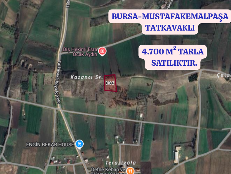 BURSA M.KEMALPAŞA TATKAVAKLI   KÖYÜNDE  4.700 M² TARLA SATILIKTIR. - BURSA MUSTAFAKEMALPAŞA fotoğraf 2