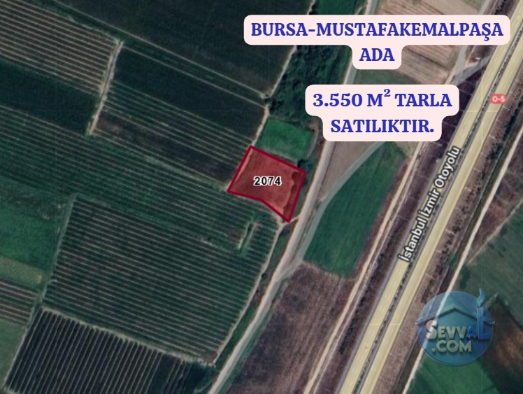BURSA MUSTAFAKEMALPAŞA ADAKÖY MAH.DE 3.550 M² TARLA SATILIKTIR - Bursa Mustafakemalpaşa fotoğraf 5