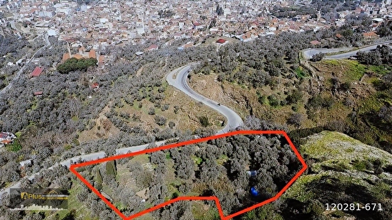 A PLUS GAYRİMENKULDEN YOLA CEPHELİ ELEKTRİK SU BULUNAN ZEYTİNLİK - İZMİR TİRE fotoğraf 9