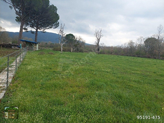 İZMİR BERGAMA KOZAK YAYLASI YUKARIBEY MAH DE 17600M2 TARLA % 5 TARIM İMARLI - İZMİR BERGAMA fotoğraf 7