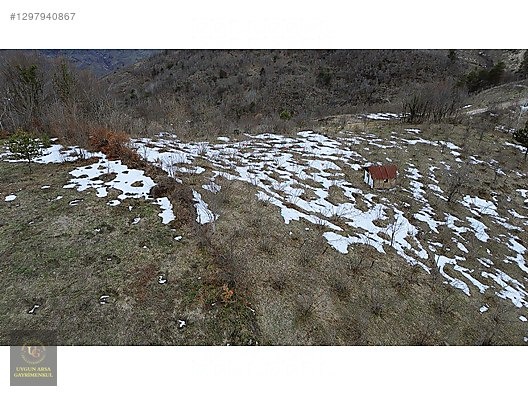 DÜZCE YIĞILCA HACILAR 'DA 2.744 M2 BAĞ EVİ OLAN FINDIK BAHÇESİ - DÜZCE YIĞILCA fotoğraf 22