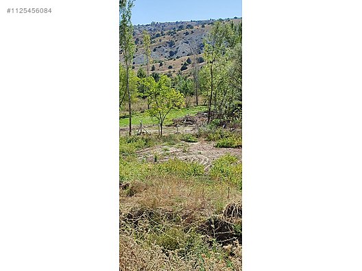 ANKARA ELMADAĞ KUŞÇUALİ KÖYÜNDE 647 M² TARLAMIZ  SATILIKTIR - ANKARA ELMADAĞ fotoğraf 4