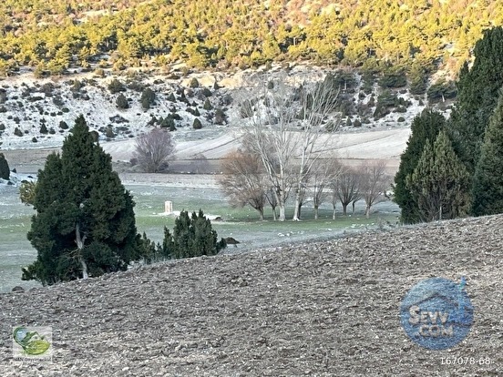 🚨 KÜTAHYA / AKÇAMESCİT'TE KÖYÜN ÜSTÜNDE 4.548 M² HARİKA ARAZİ 🚨 - KÜTAHYA MERKEZ fotoğraf 22