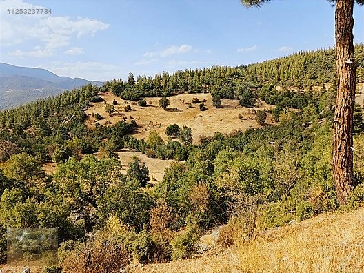 konyaaltı Doyranda 629m tapulu arsa - ANTALYA KONYAALTI fotoğraf 4