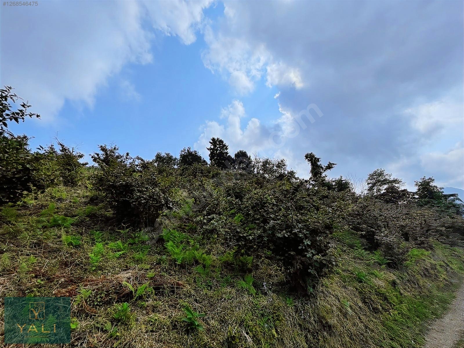 GİRESUN MERKEZ YALIKÖY MEVKİİ SATILIK ARAZİ - GİRESUN MERKEZ fotoğraf 30