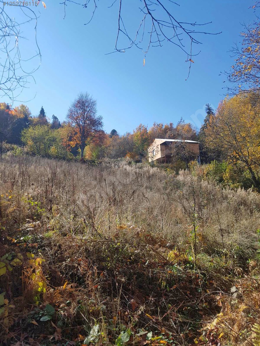 BURSA KESTEL ALAÇAM KÖYÜNDE 2.683 M² TARLA SATILIKTIR - BURSA KESTEL fotoğraf 8
