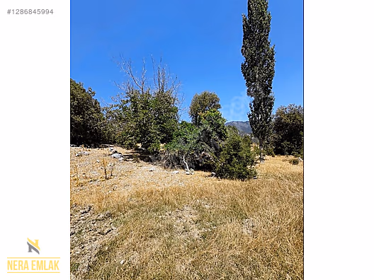 KAŞ'IN EN GÖZDE MAHALLELERİN'DEN SÜTLEĞEN'DE TEK TAPU 2.072m2 - ANTALYA KAŞ fotoğraf 6