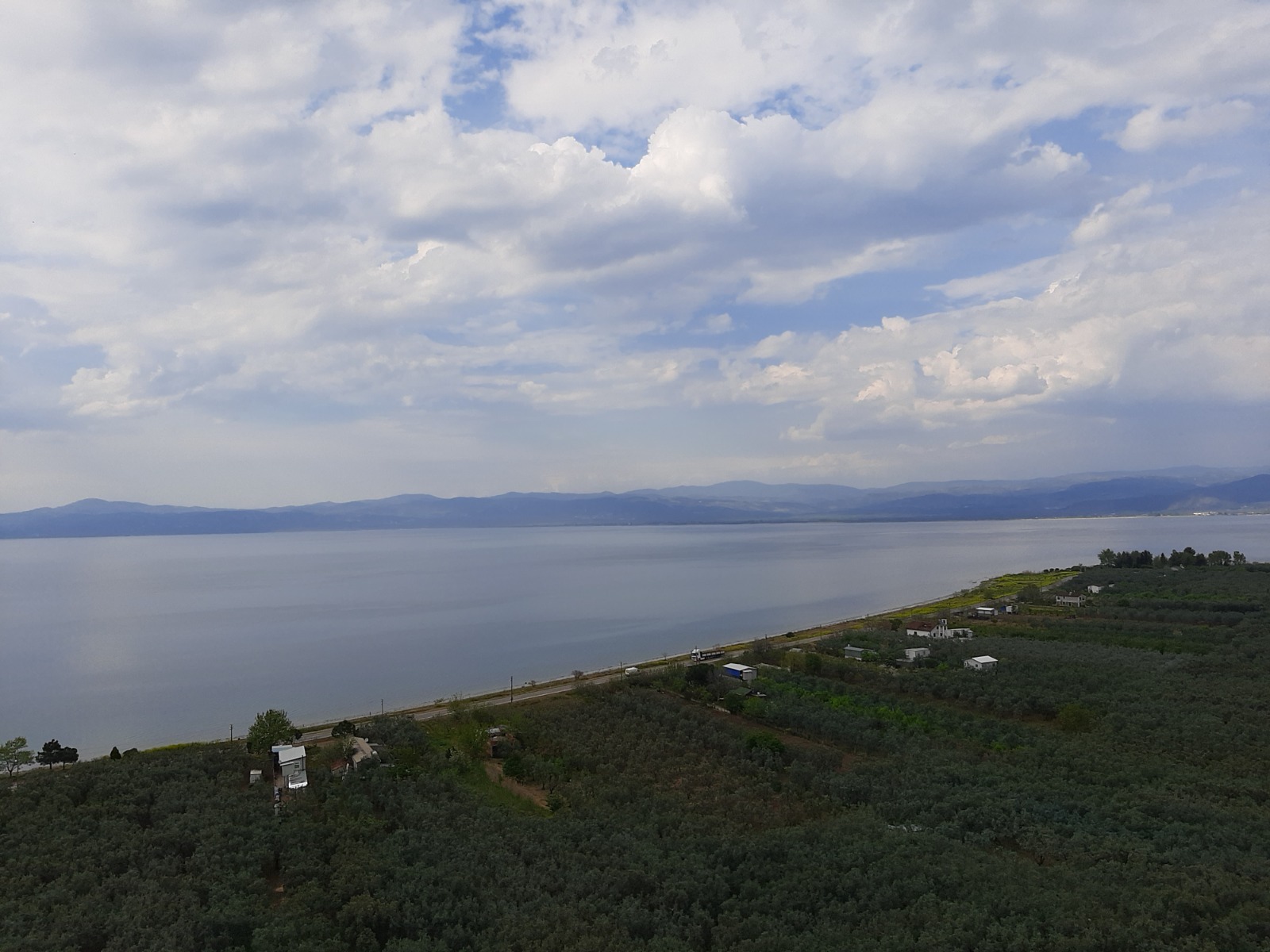 Tamamen göl manzaralı satılık zeytin bahçesi takasa açıktır - BURSA İZNİK fotoğraf 2