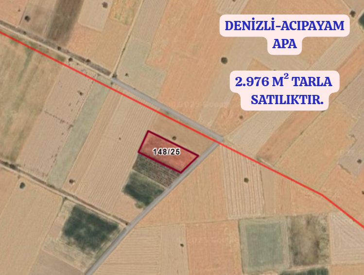 DENİZLİ ACIPAYAM APA  KÖYÜNDE 2.976  M² TARLA  SATILIKTIR - DENİZLİ ACIPAYAM fotoğraf 2