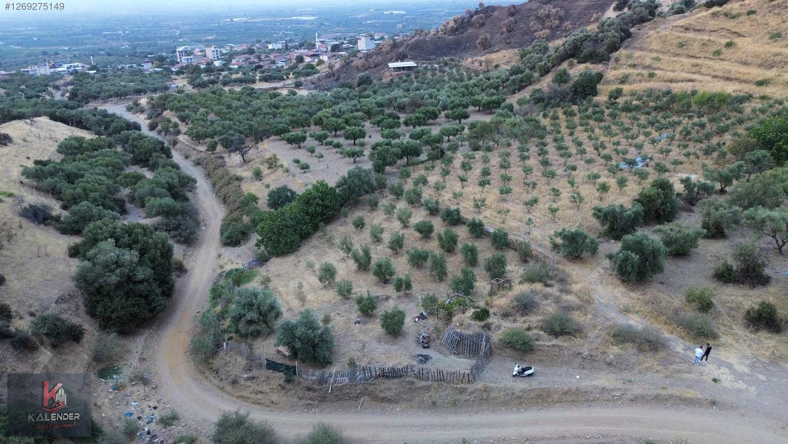 KALENDER EMLAKTAN DERBENTTE SATILIK 1.150 M2 TEK TAPU ZEYTİNLİK - MANİSA TURGUTLU fotoğraf 5