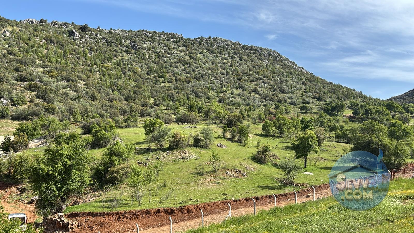 AĞLASUN ÇANAKLI KÖYÜNDE SATILIK CEVİZLİK - Burdur Ağlasun fotoğraf 10