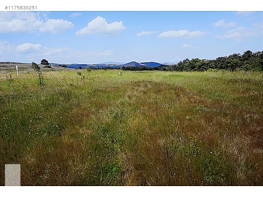 ÇANAKKALE BAYRAMİÇ MURATLAR KÖYÜ 45.000 m2 TARLA - ÇANAKKALE BAYRAMİÇ fotoğraf 2