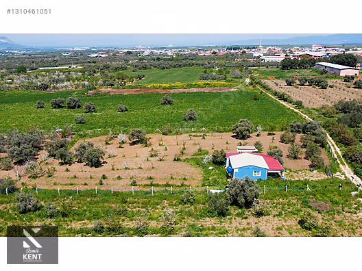 Kemalpaşa Halilbeylide Satılık 3000 m2 Bahçe 40 m2 Ev - İZMİR KEMALPAŞA fotoğraf 25