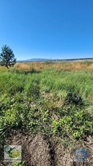 🚨 KÜTAHYA'DA ANAYOLA CEPHELİ 6.152 M² VERİMLİ TARLA 🚨 - KÜTAHYA MERKEZ fotoğraf 28