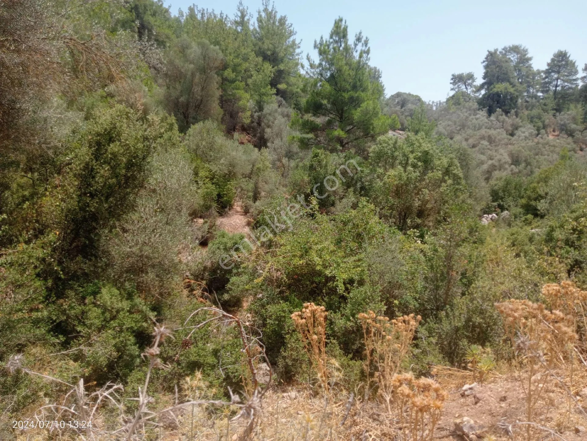 Antalya Kumluca Orta Köyde Satılık Tarla İnceoğlu Emlak - ANTALYA KUMLUCA fotoğraf 11