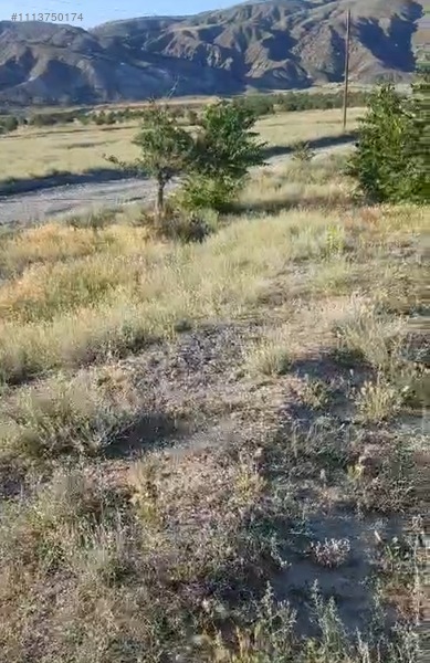 ERZİNCAN KURUTİLEK MAHALLESİNDE KÖŞE PARSEL SATILIK ARSA 10.734M² - ERZİNCAN MERKEZ fotoğraf 3
