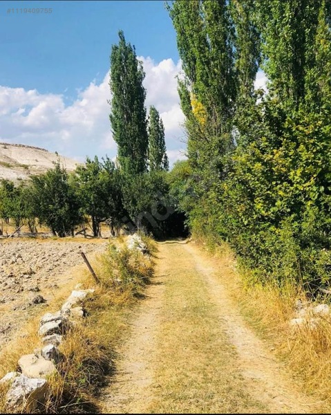  KÜTAHYA ÇAVDARHİSARDA SATILIK ARAZİ   1.066m² Kütahya / Çavdarhisar / İlçikören - KÜTAHYA ÇAVDARHİSAR fotoğraf 5