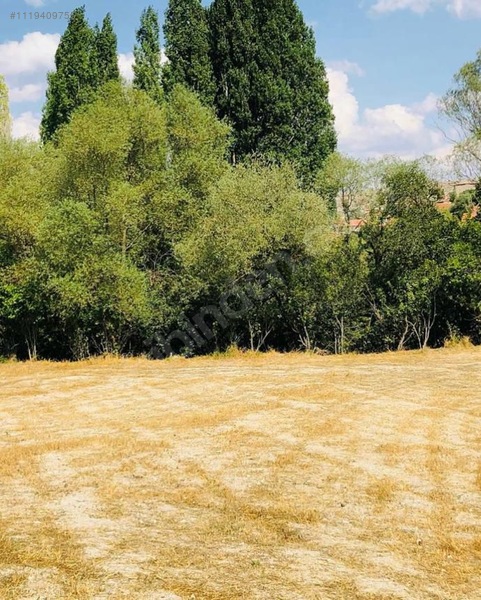  KÜTAHYA ÇAVDARHİSARDA SATILIK ARAZİ   1.066m² Kütahya / Çavdarhisar / İlçikören - KÜTAHYA ÇAVDARHİSAR fotoğraf 6