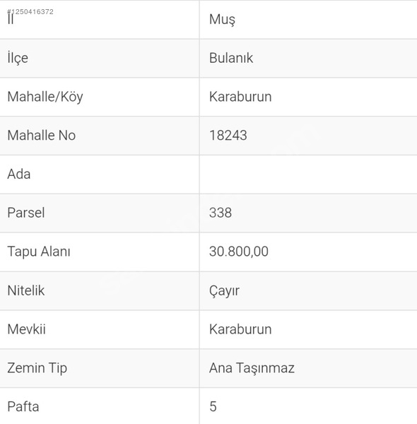 SATILIK ARSA  30.800 M² Muş / Bulanık / Karaburun Köyü  - MUŞ BULANIK fotoğraf 2