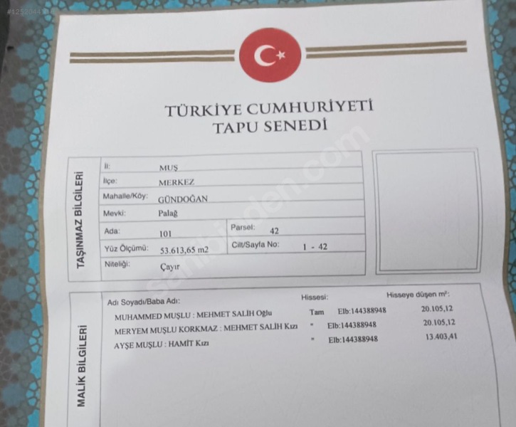 SATILIK ARSA  65.000 M² Muş / Merkez / Gündoğan Köyü - MUŞ MERKEZ fotoğraf 2