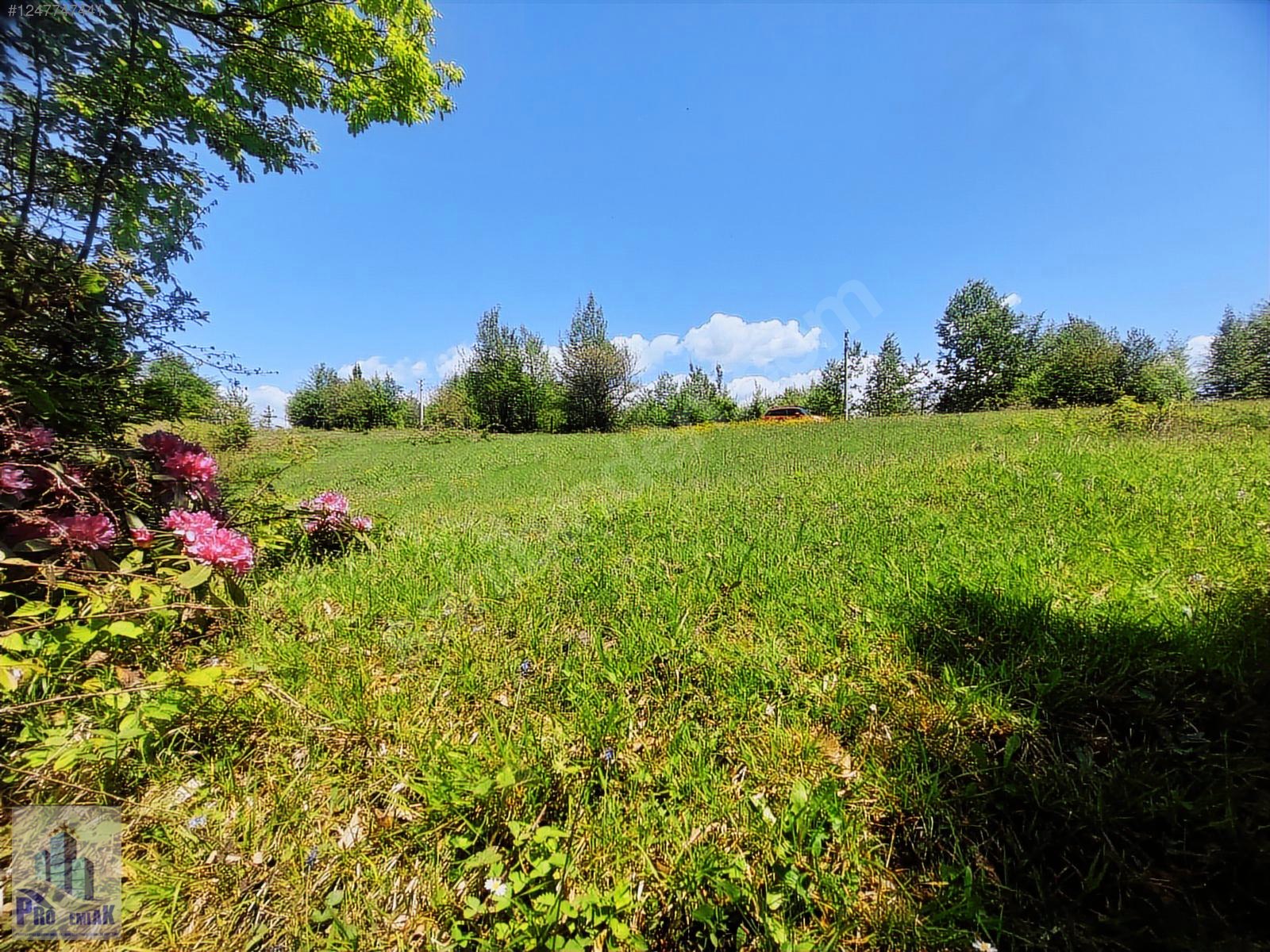 DÜZCE KAYNAŞLI YEŞİLTEPE K. TAMAMI İMARLI 17.923 M2 FIRSAT ARSA - DÜZCE KAYNAŞLI fotoğraf 9
