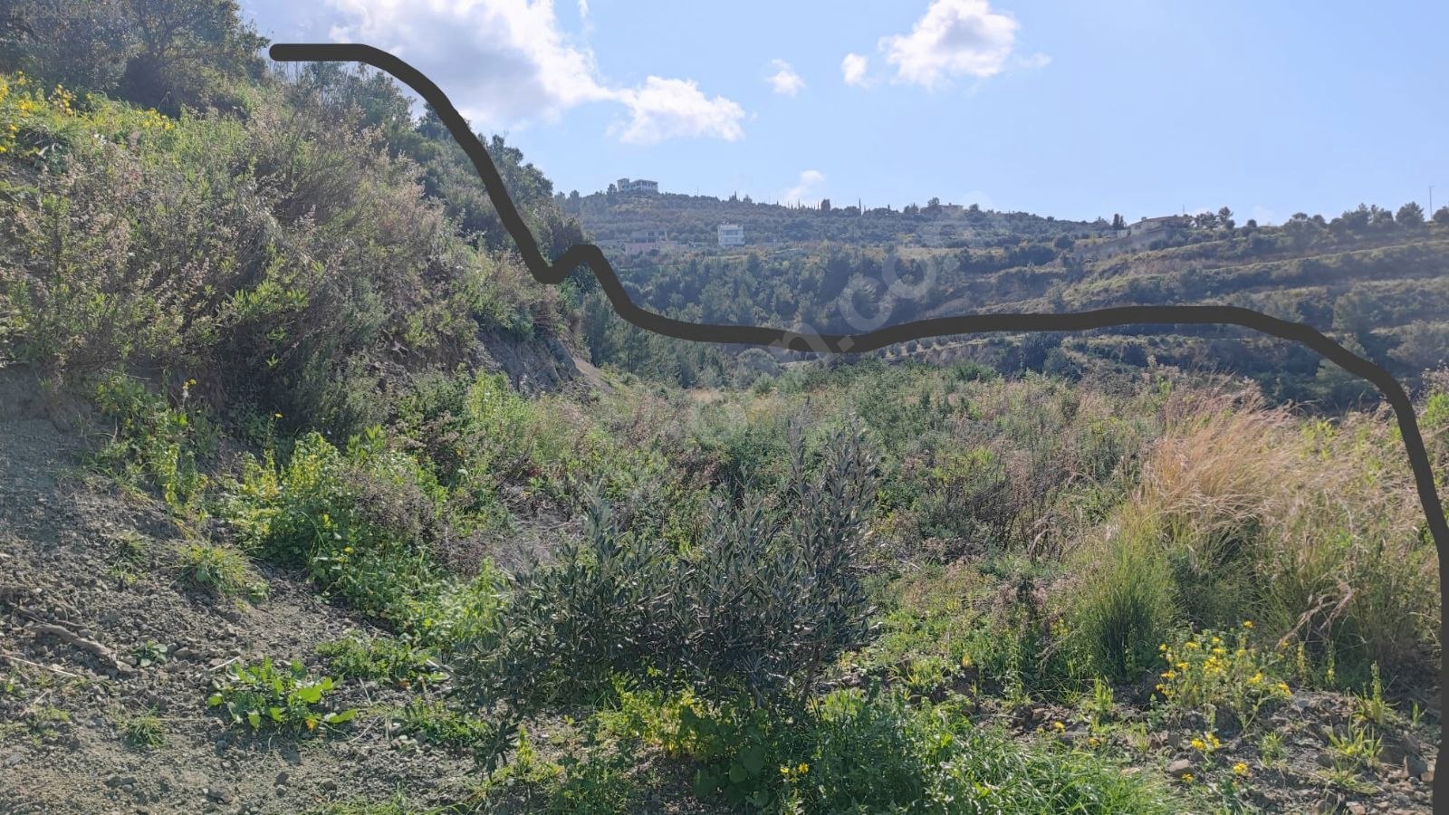 ARSUZDA DENİZE SIFIR ACİL SATILIK ARSA  1.500 M² Hatay / Arsuz / Işıklı Mh. - HATAY ARSUZ fotoğraf 2