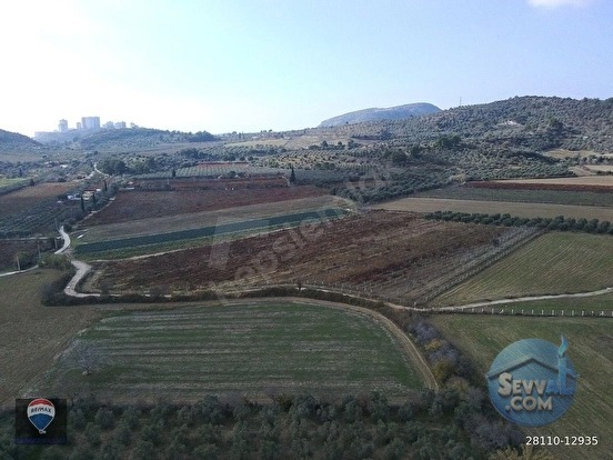 Kuşadası Değirmendere’de Satılık 12.400 m² Bağ, Zeytin ve Ceviz Bahçesi - AYDIN KUŞADASI fotoğraf 2
