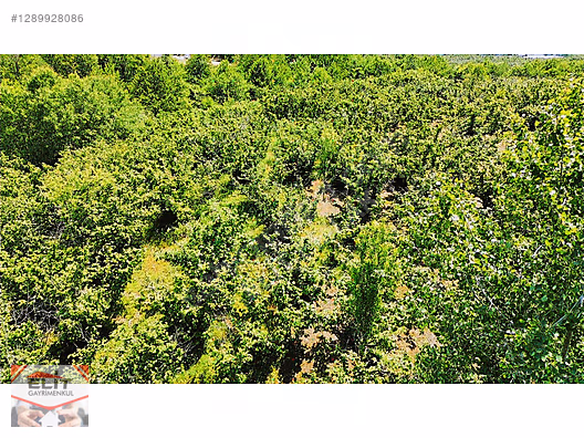 SAKARYA KARASU'DA SATILIK FRSAT KÖY İÇİNDE 635 metre² KUPON ARSA - SAKARYA KARASU fotoğraf 14