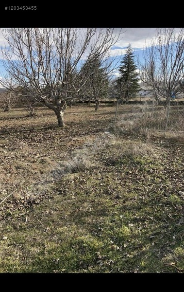 ANKARA ELMADAĞ LALABEL KÖYÜNDE 4.832 M² TARLAMIZ SATILIKTIR. - ANKARA ELMADAĞ fotoğraf 11