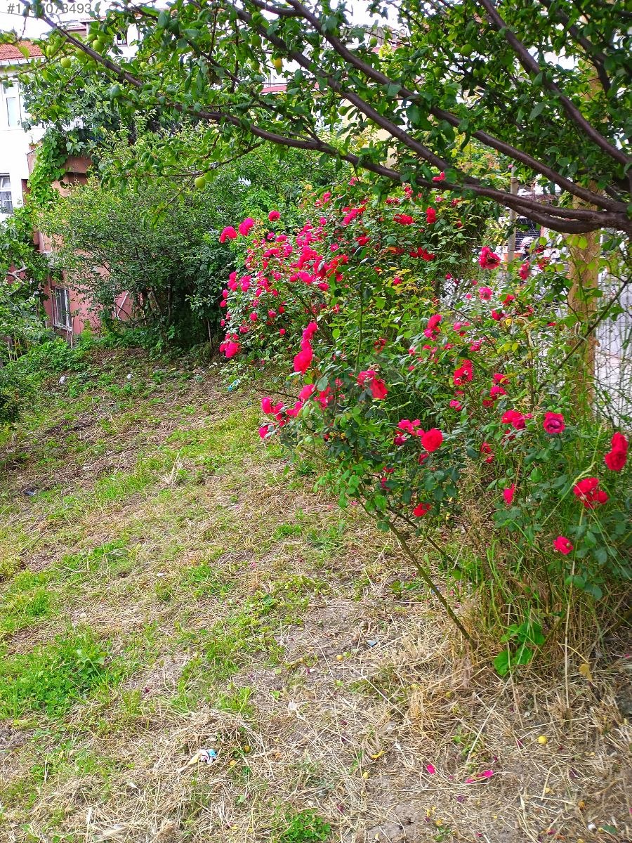 Beykoz İncirköyde 3 Kat Ticari+Konut İmarlı 120 m² Satılık Arsa - İSTANBUL BEYKOZ fotoğraf 9
