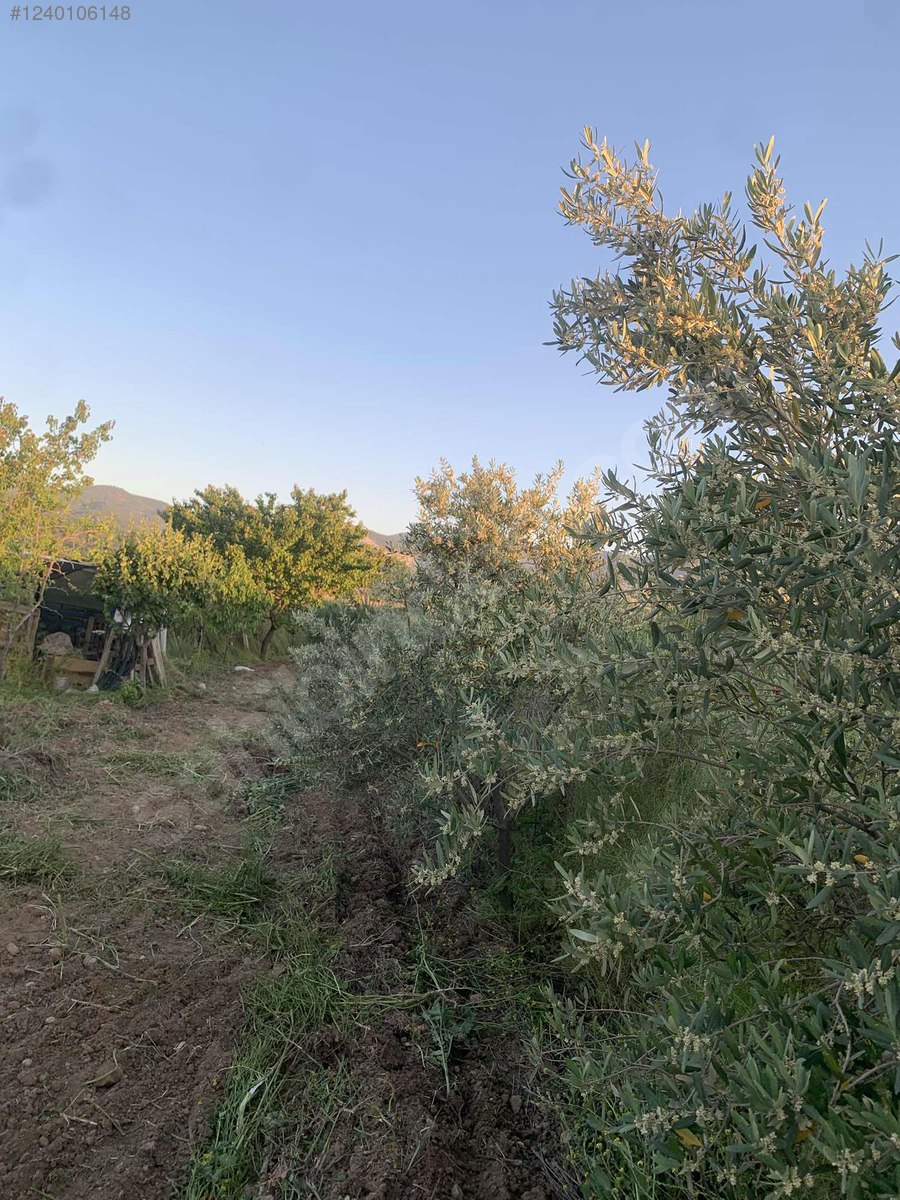 DENİZLİ HONAZ KOCABAŞ MAHALLESİNDE  688 M² TARLA  SATILIKTIR - DENİZLİ HONAZ fotoğraf 4