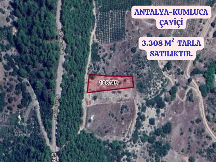 ANTALYA KUMLUCA ÇAYİÇİ  KÖYÜNDE 3.308 M²   TARLA  SATILIKTIR - ANTALYA KUMLUCA fotoğraf 2
