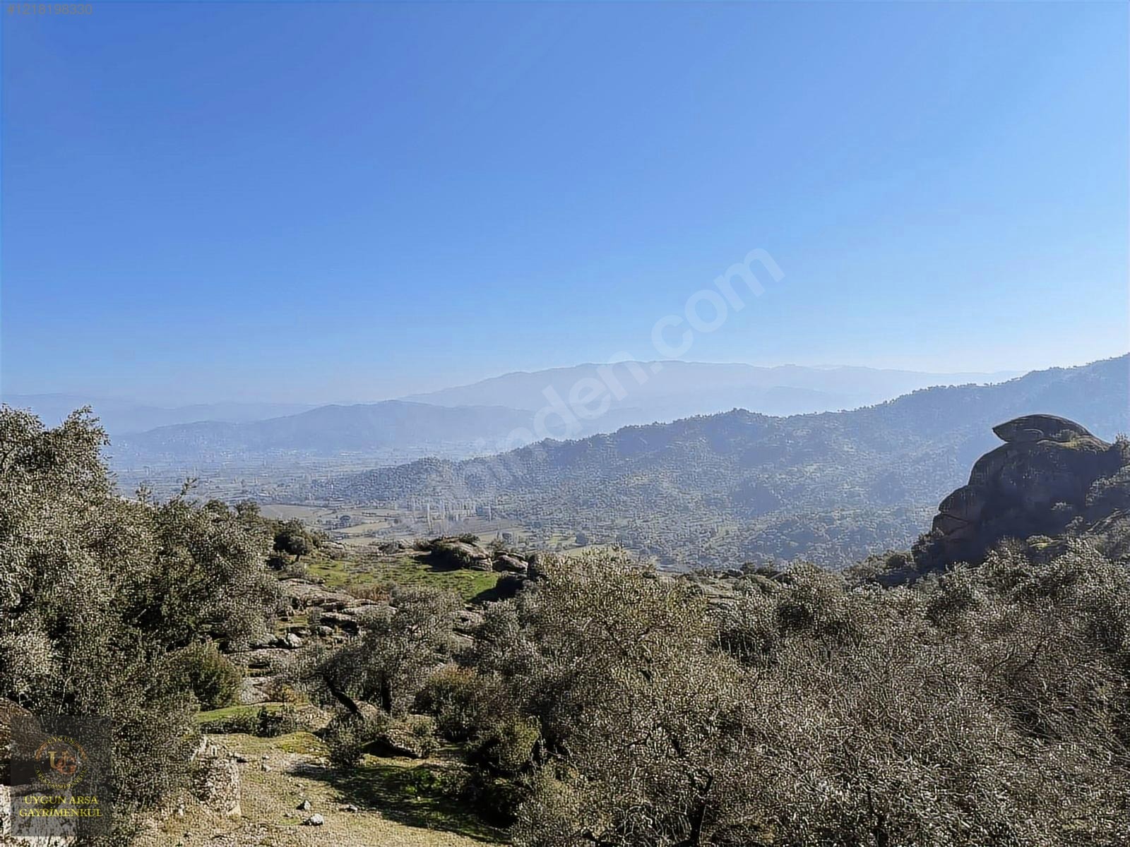 AYDIN KARPUZLU MERKEZ'DE 21.050 M2 ANA YOLA CEPHE ZEYTİNLİK - AYDIN KARPUZLU fotoğraf 27