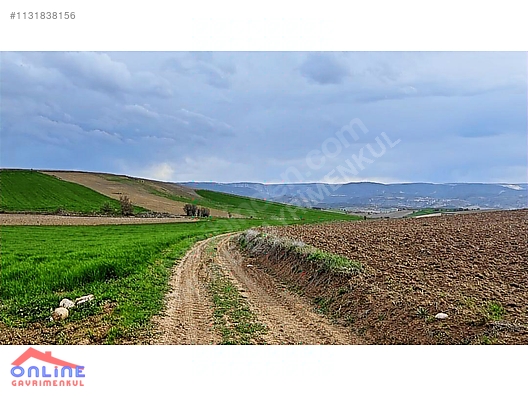 Araç Takaslı - BİLECİK YENİPAZAR fotoğraf 31