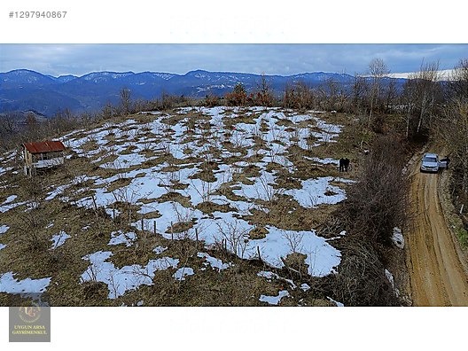 DÜZCE YIĞILCA HACILAR 'DA 2.744 M2 BAĞ EVİ OLAN FINDIK BAHÇESİ - DÜZCE YIĞILCA fotoğraf 5