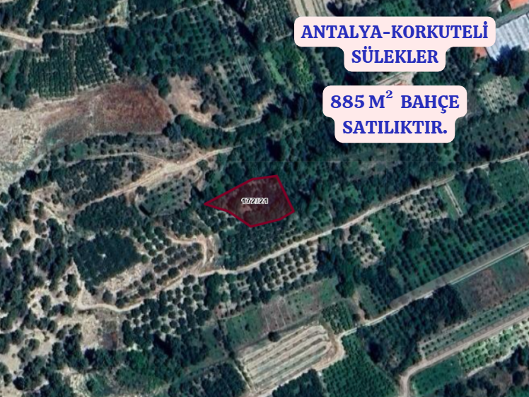 ANTALYA KORKUTELİ SÜLEKLER KÖYÜNDE 885  M²  BAHÇE  SATILIKTIR - ANTALYA KORKUTELİ fotoğraf 2