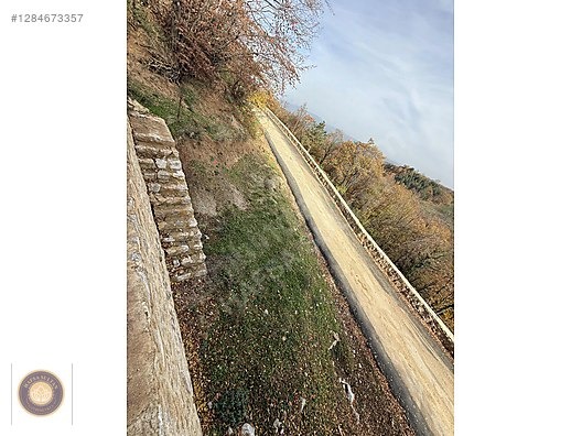 KESTEL LÜTFIYE MH SATILIK 1806M2 TARLA ASVALT YOLA CEPHE - BURSA KESTEL fotoğraf 11