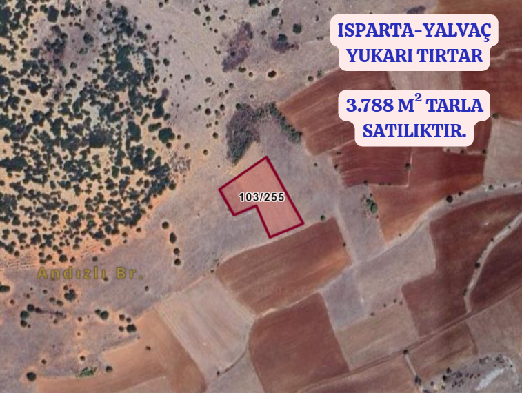 ISPARTA YALVAÇ YUKARI TIRTAR KÖYÜNDE 3.788 M²  TARLA  SATILIKTIR - ISPARTA YALVAÇ fotoğraf 2